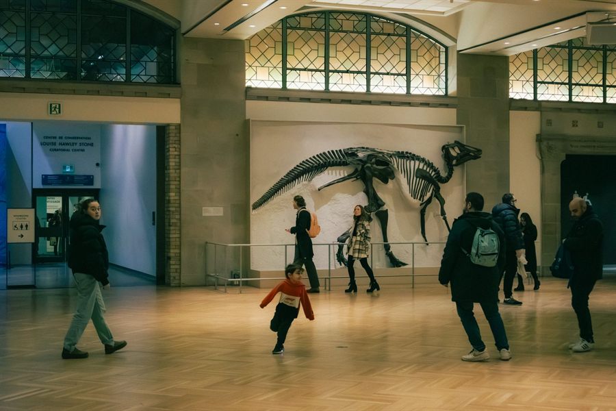 Family visiting a dinosaur hall in a museum